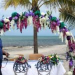 Boda 6