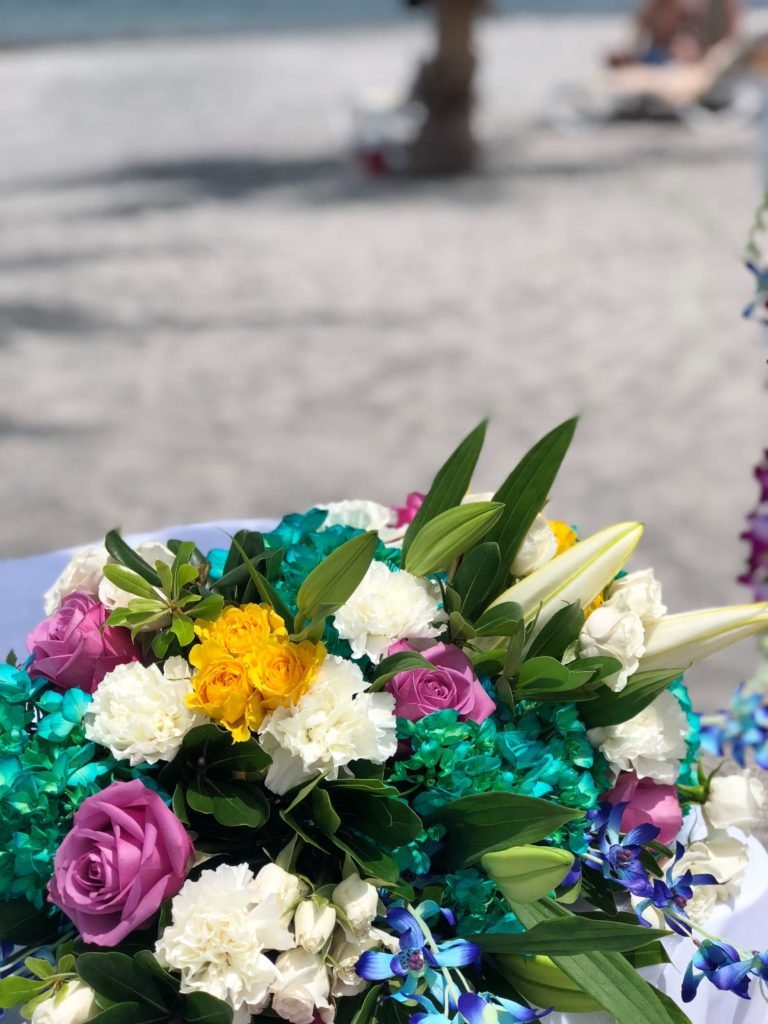 Boda 7